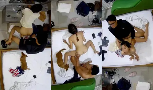 không che - Em nữ sinh dẫn theo cả chó đi học nhóm bạn trong nhà nghỉ